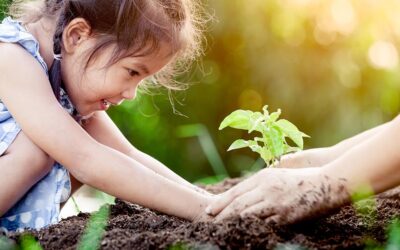 7 consigli per insegnare ai bambini a rispettare l’ambiente, anche utilizzando internet